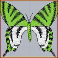 [Click to enlarge image]